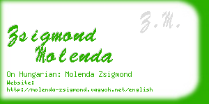 zsigmond molenda business card